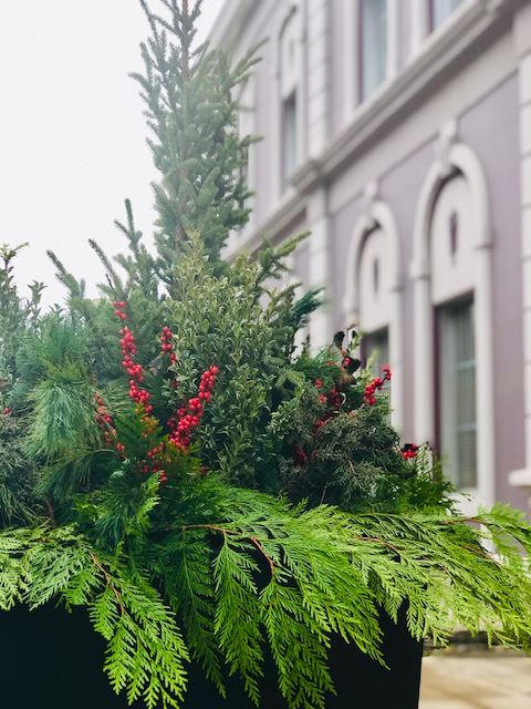 Winterberry